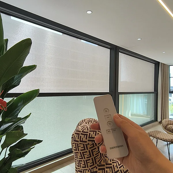 Electric Lift Window Protective Screen