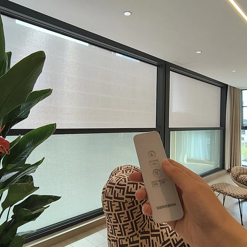 Electric Lift Window Remote Control